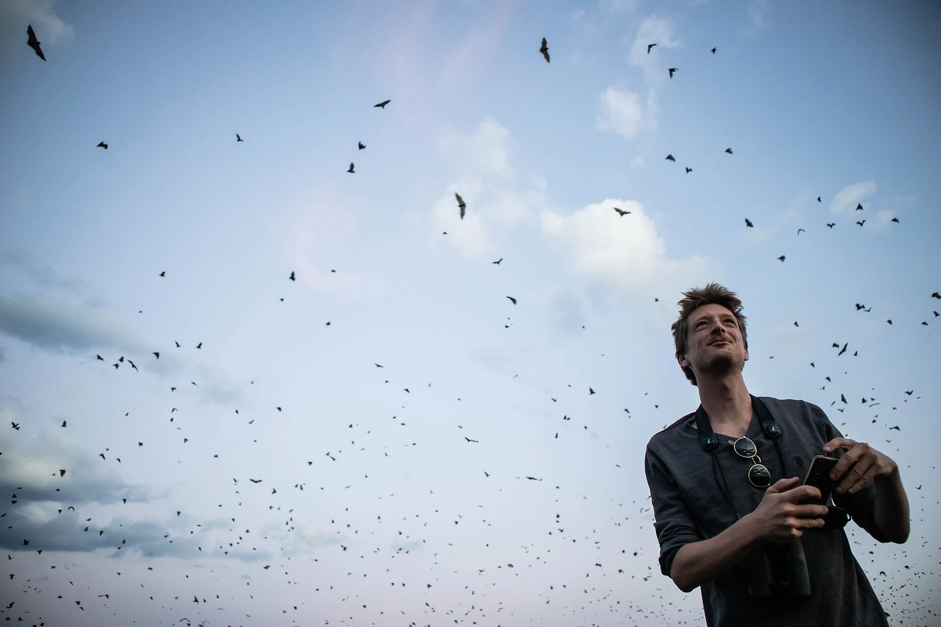 Fruit bats leave Kasanka’s swamp forest at dusk.