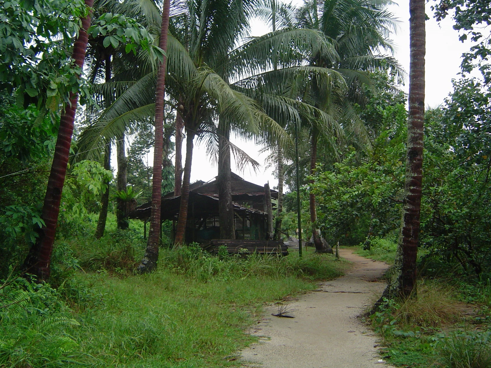 Coastal boardwalk through mangroves at Chek Jawa Wetlands, Pulau Ubin.