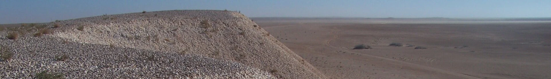 Tidal flats and dunes in Banc d’Arguin National Park.