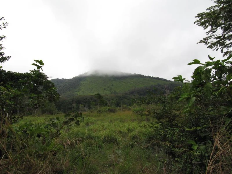 Rock engravings associated with Lopé-Okanda