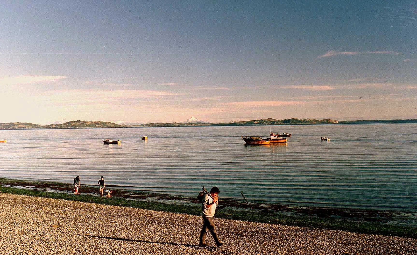 Tenaún