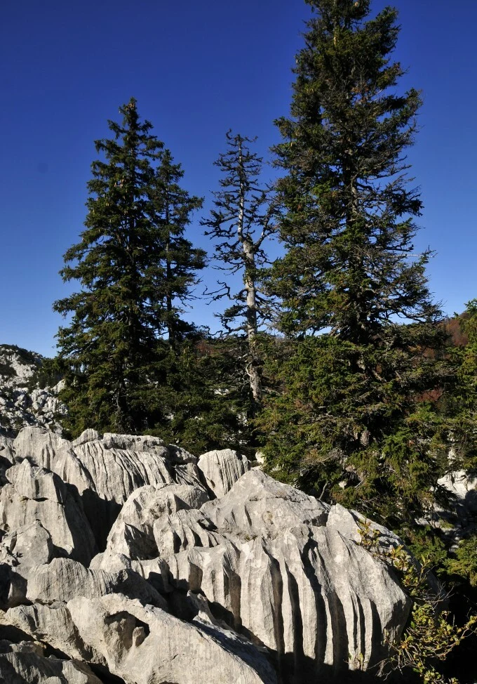 Premužić Trail