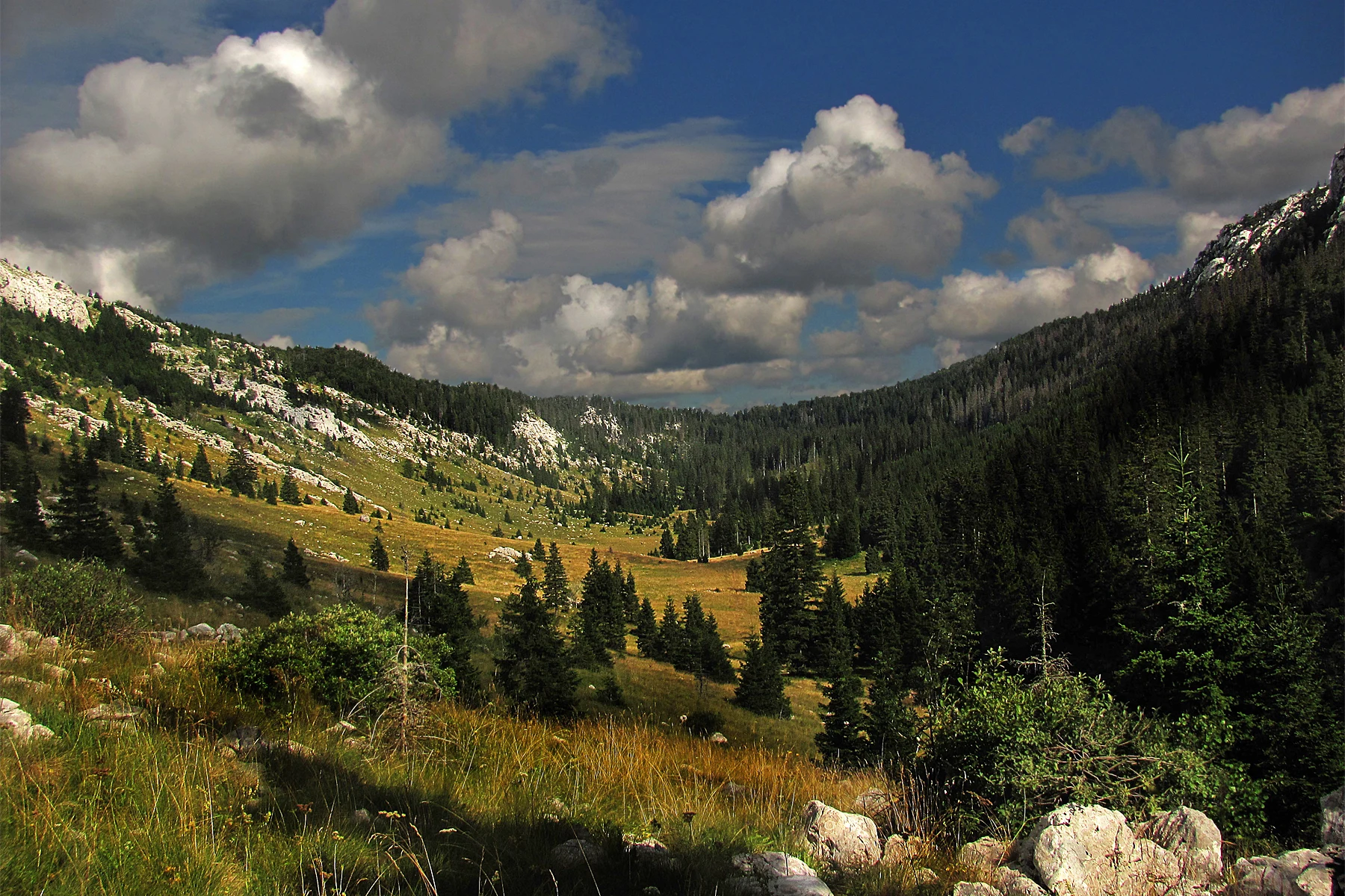 Velebit