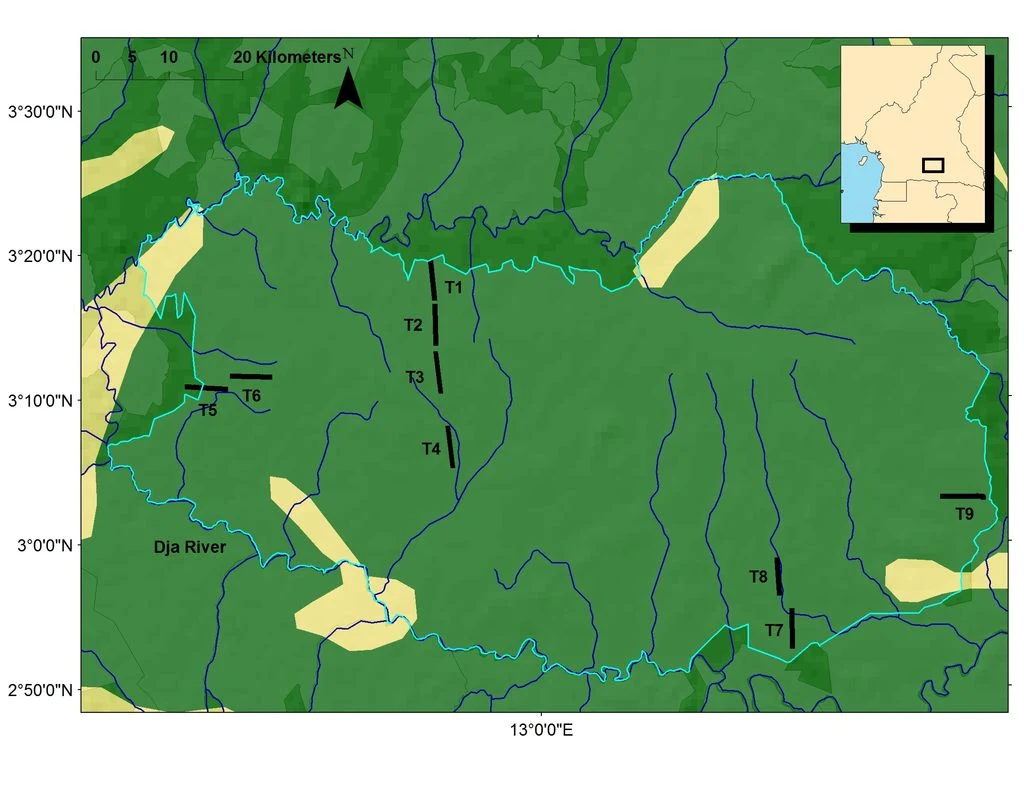 Dja Faunal Reserve
