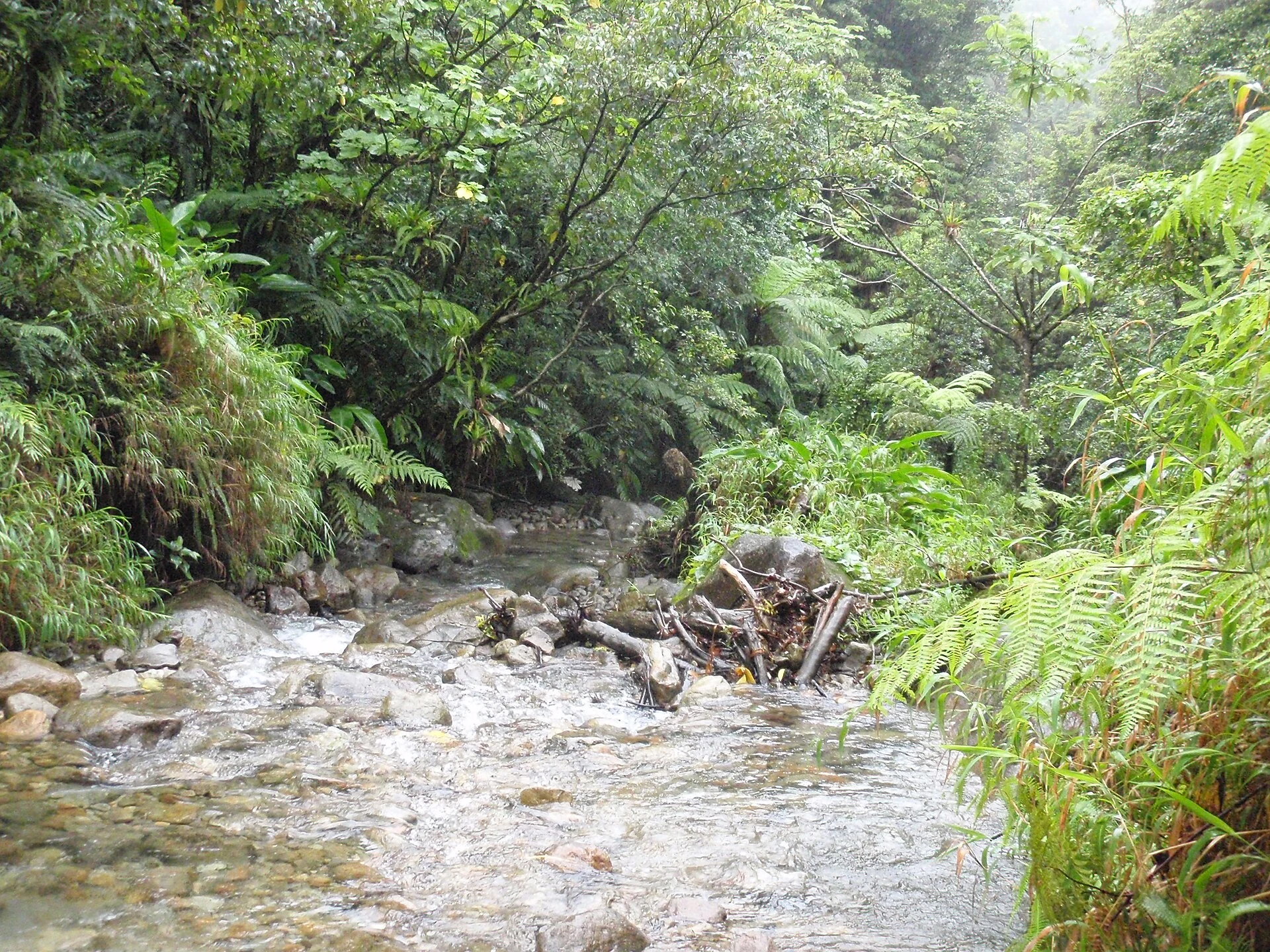 Boiling Lake
