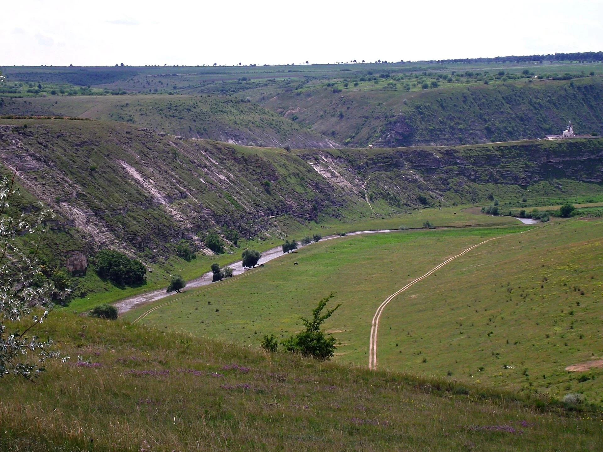 Trebujeni