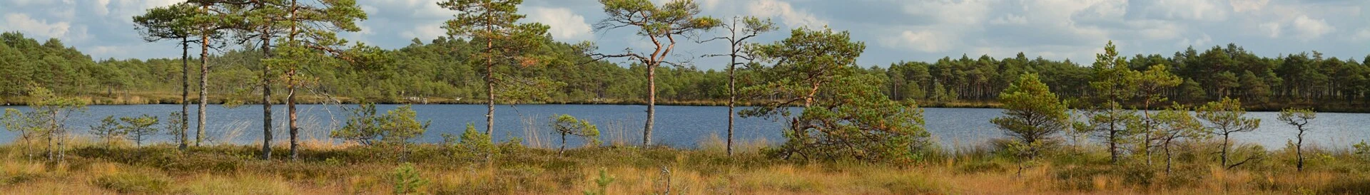 Soomaa National Park