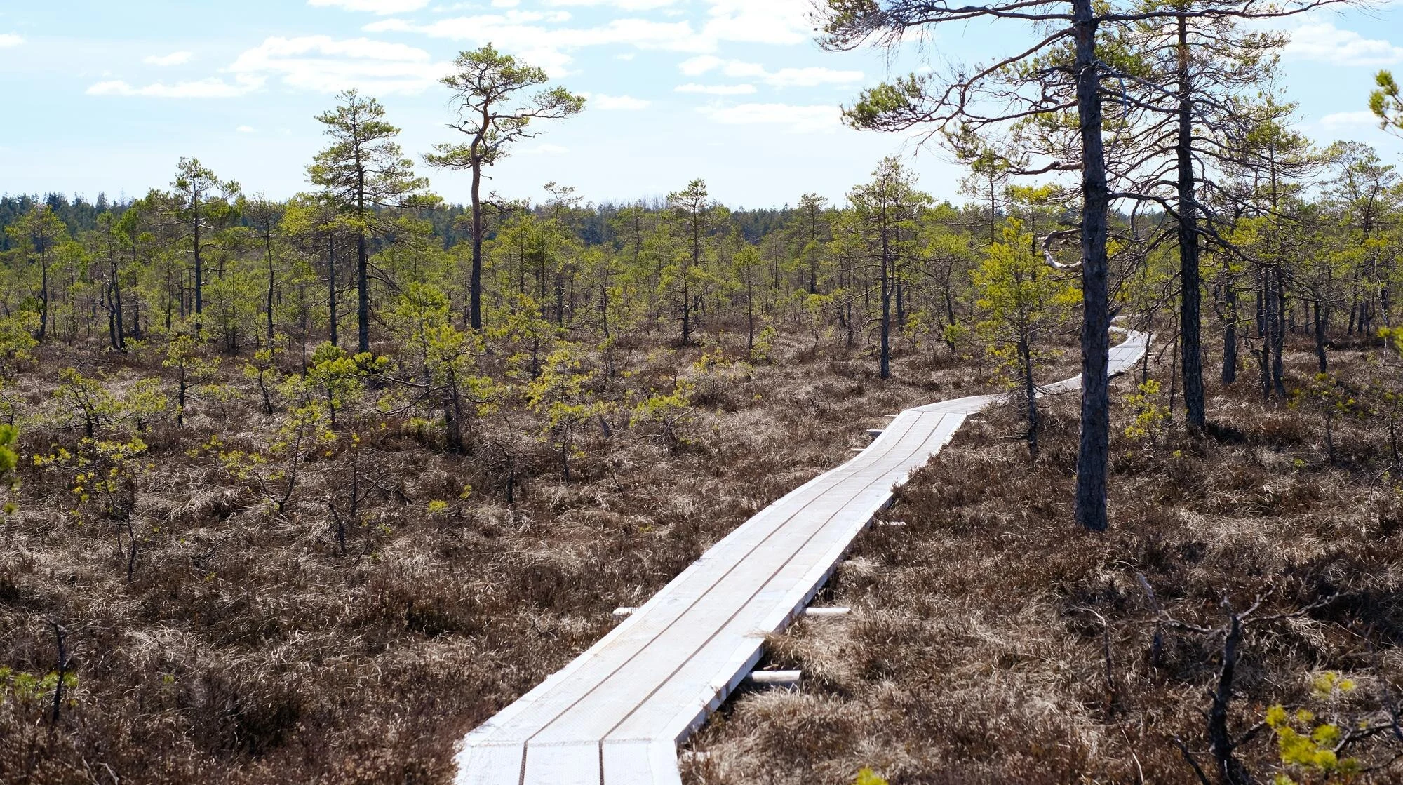 Soomaa National Park