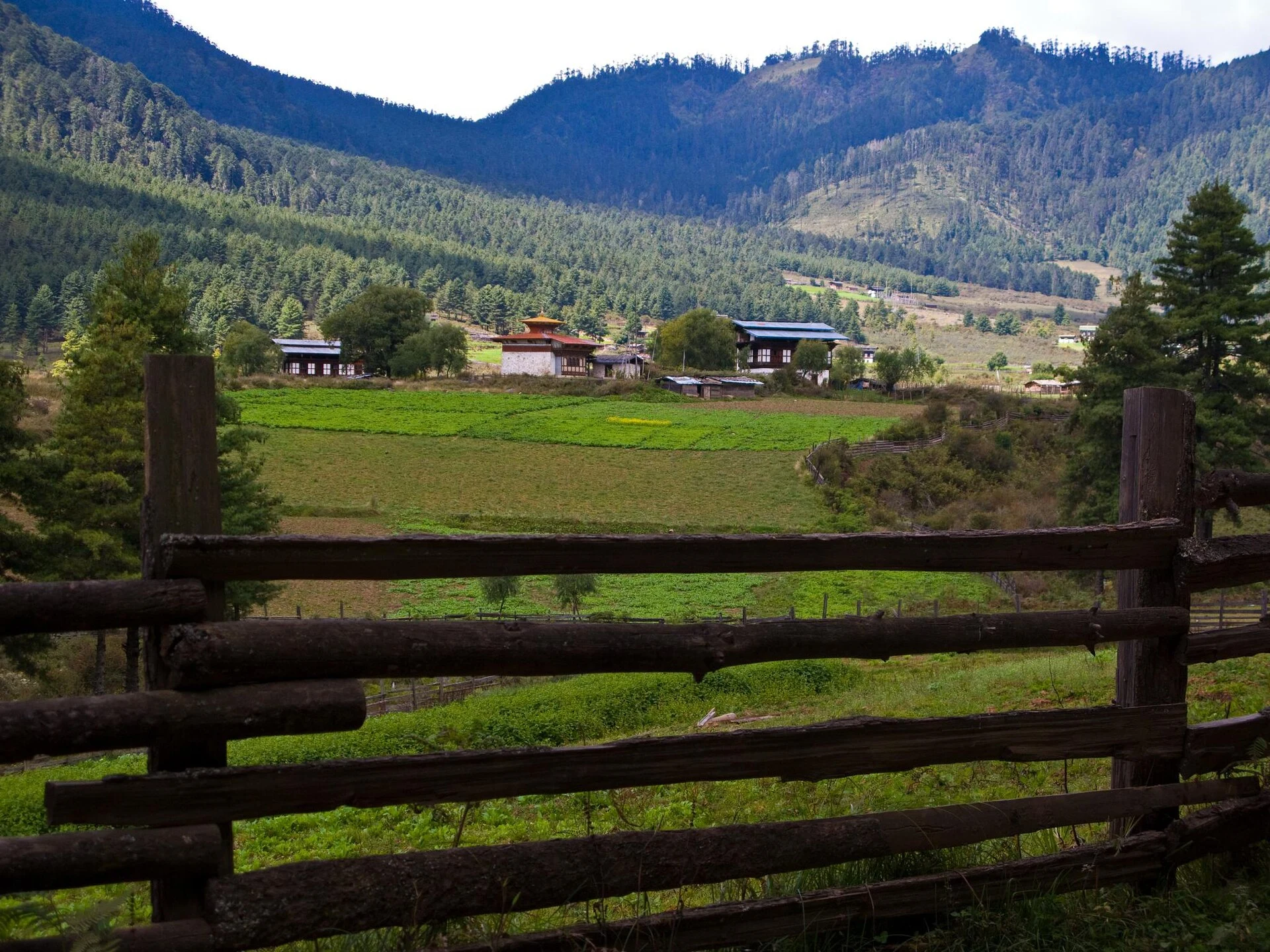 Phobjikha Valley