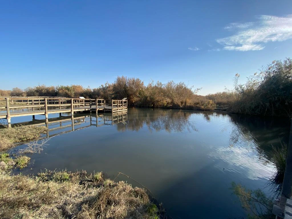 Azraq Wetland Reserve