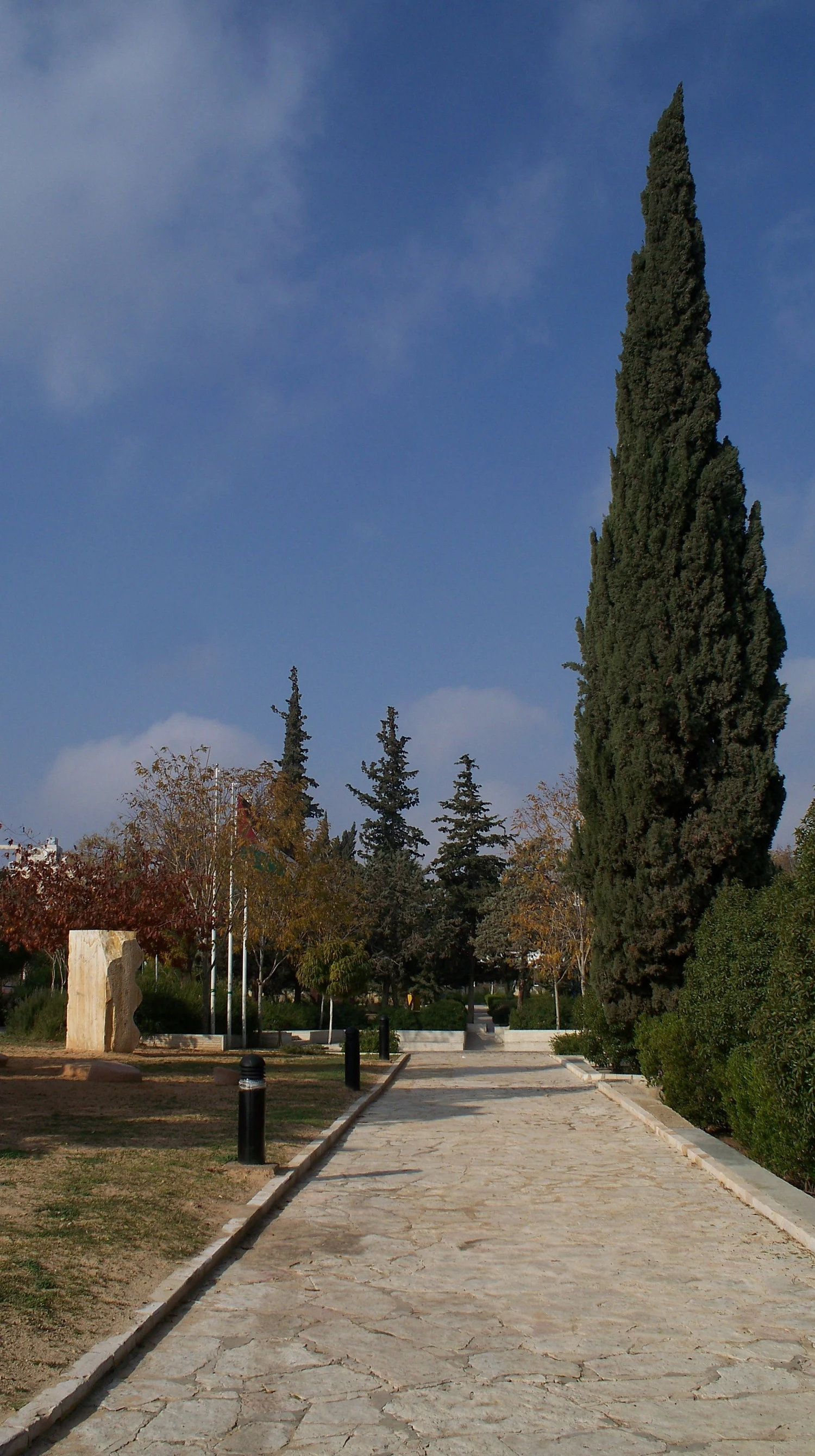 Amman