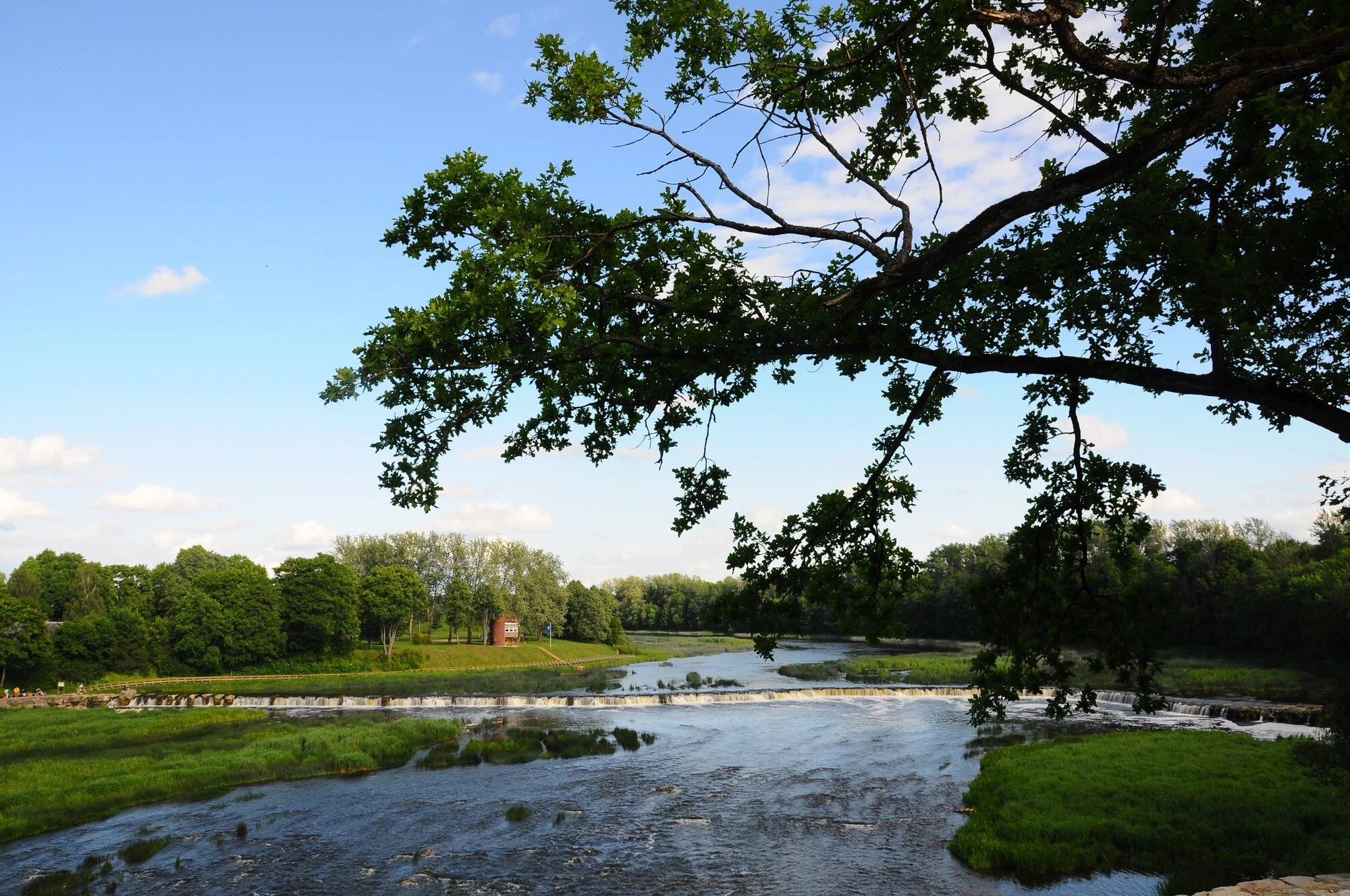 Venta River