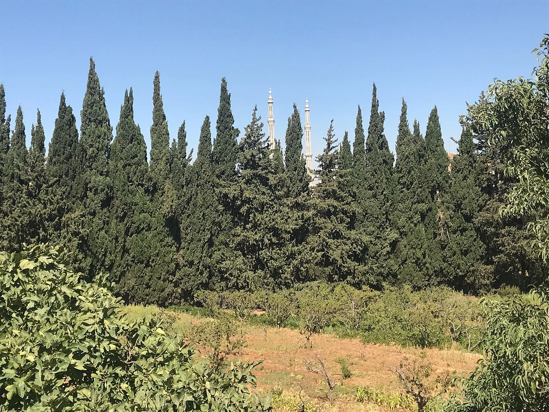 Bekaa Valley
