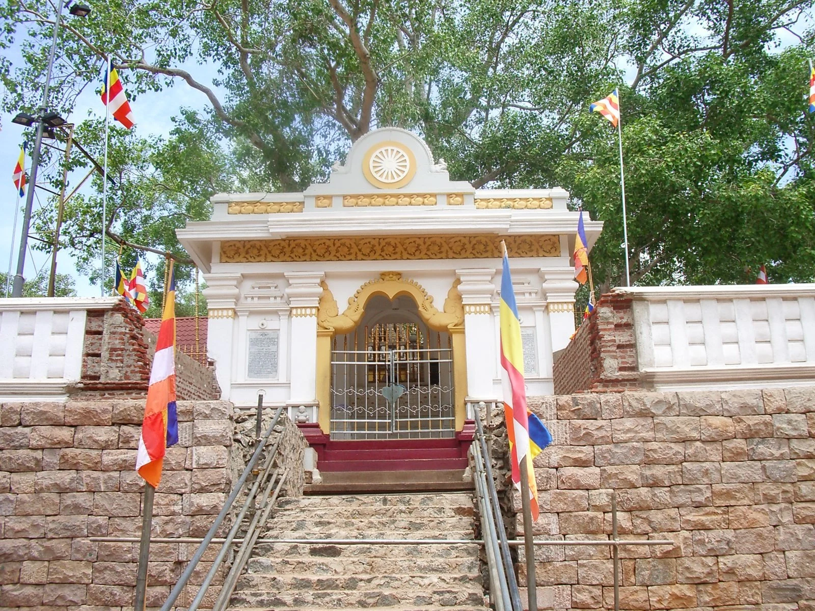 Sri Maha Bodhi
