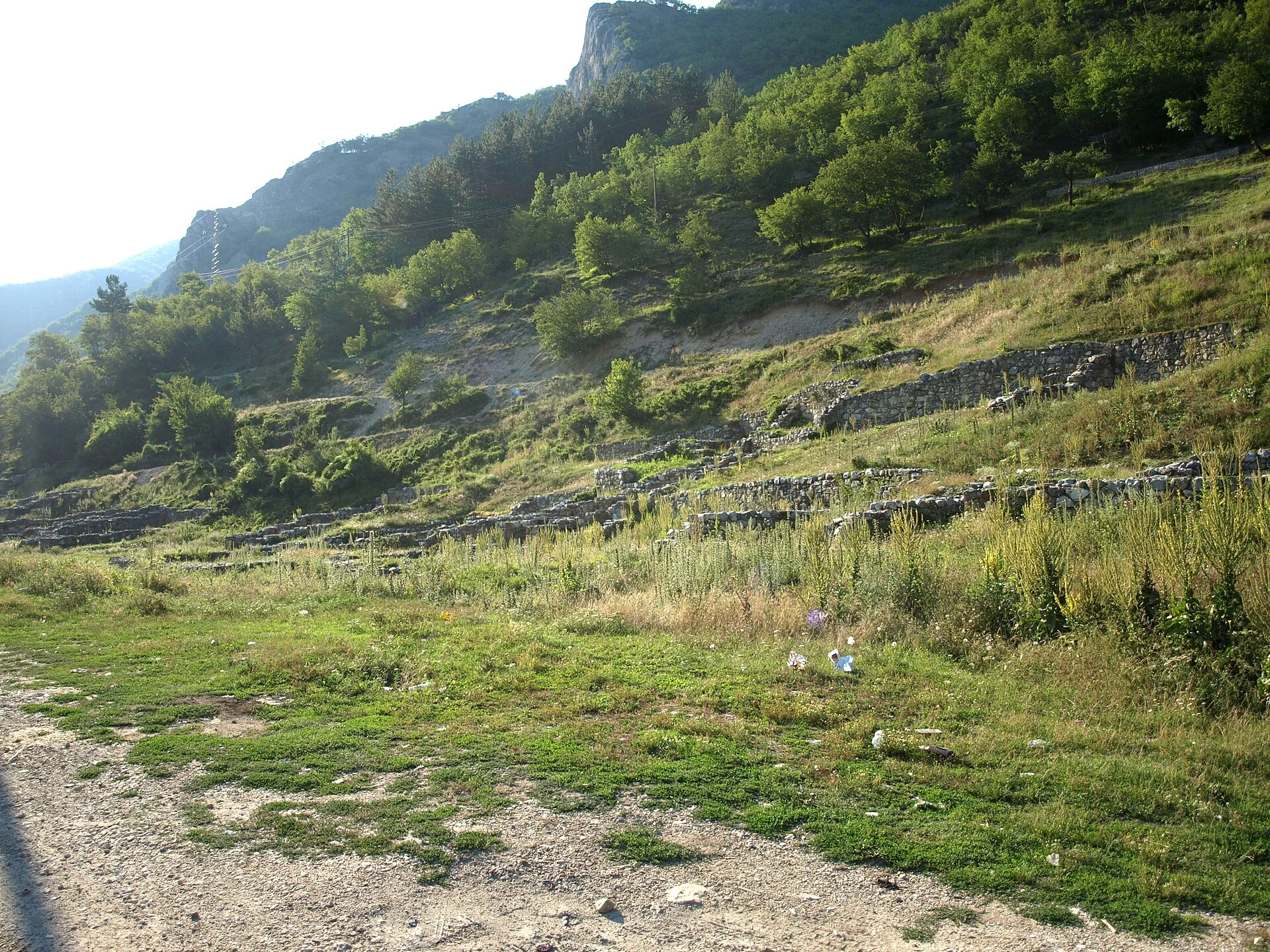 Stari Ras