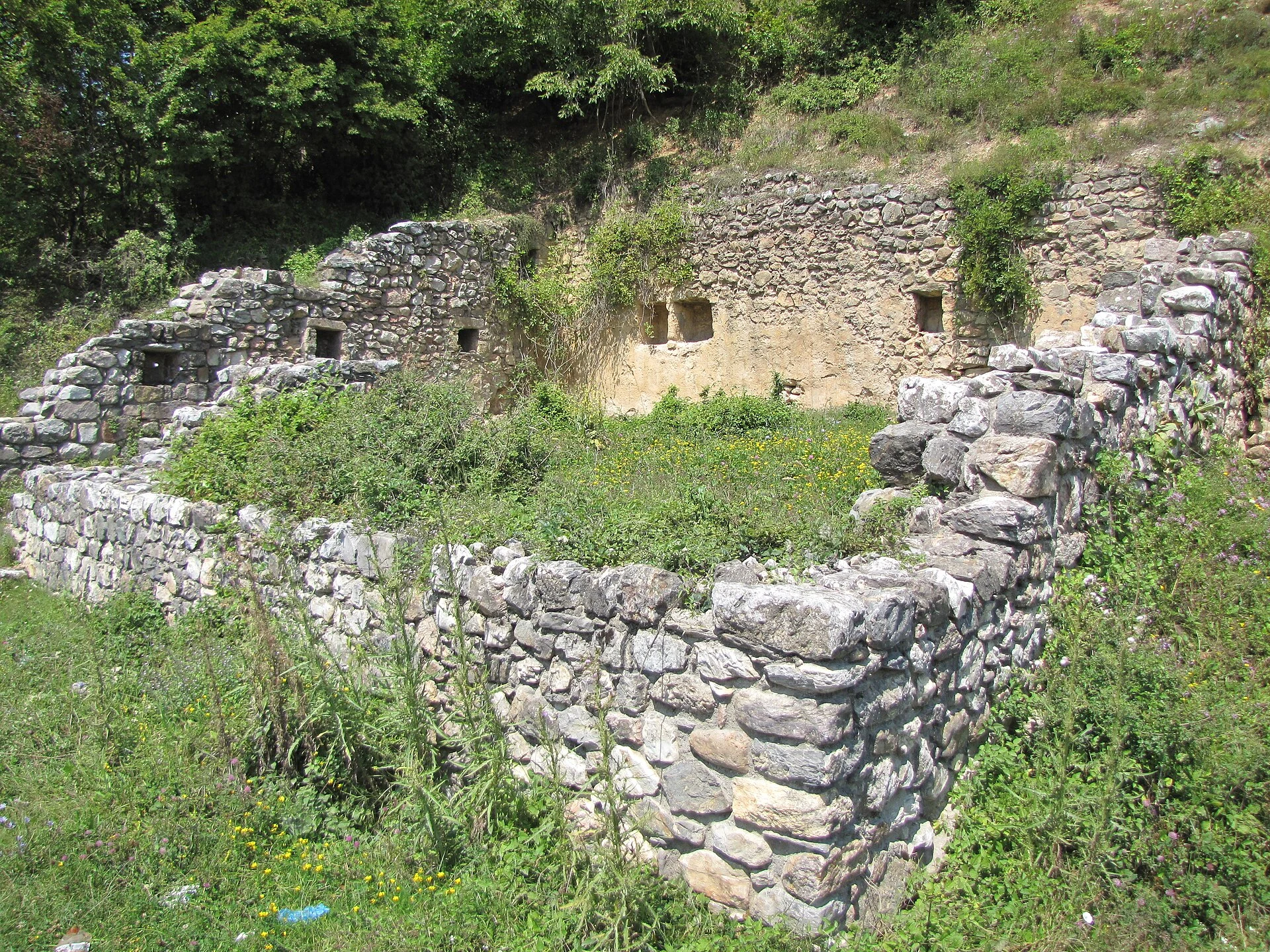 Stari Ras