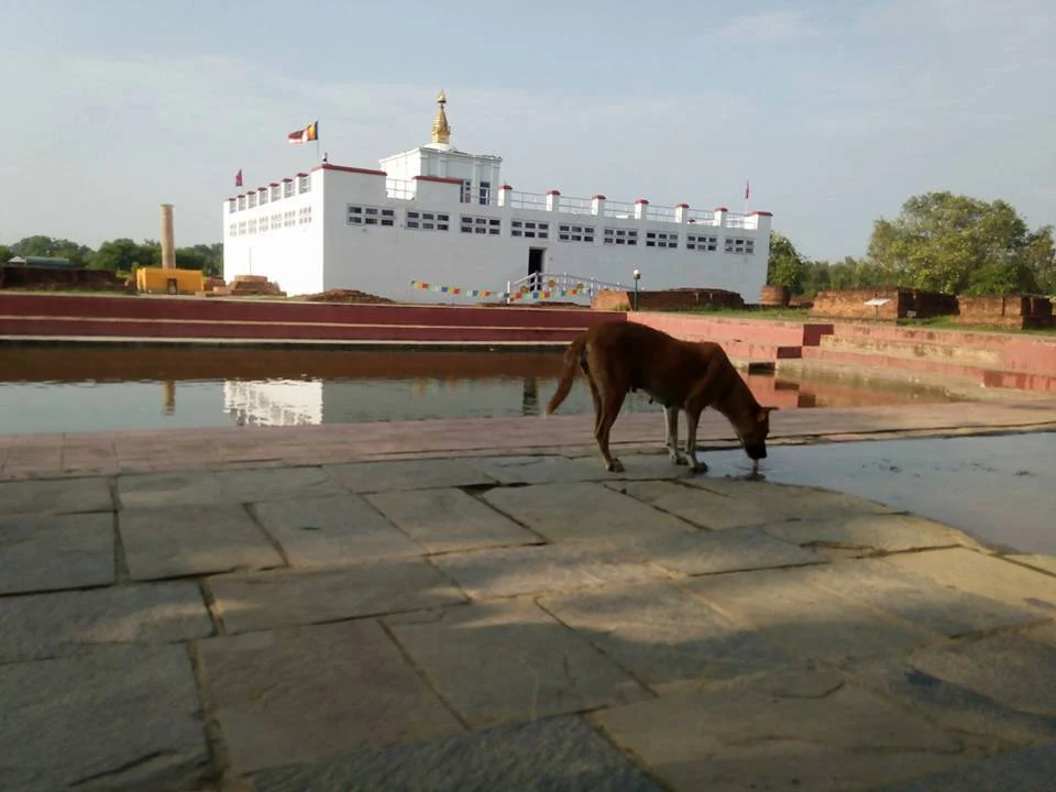 Maya Devi Temple