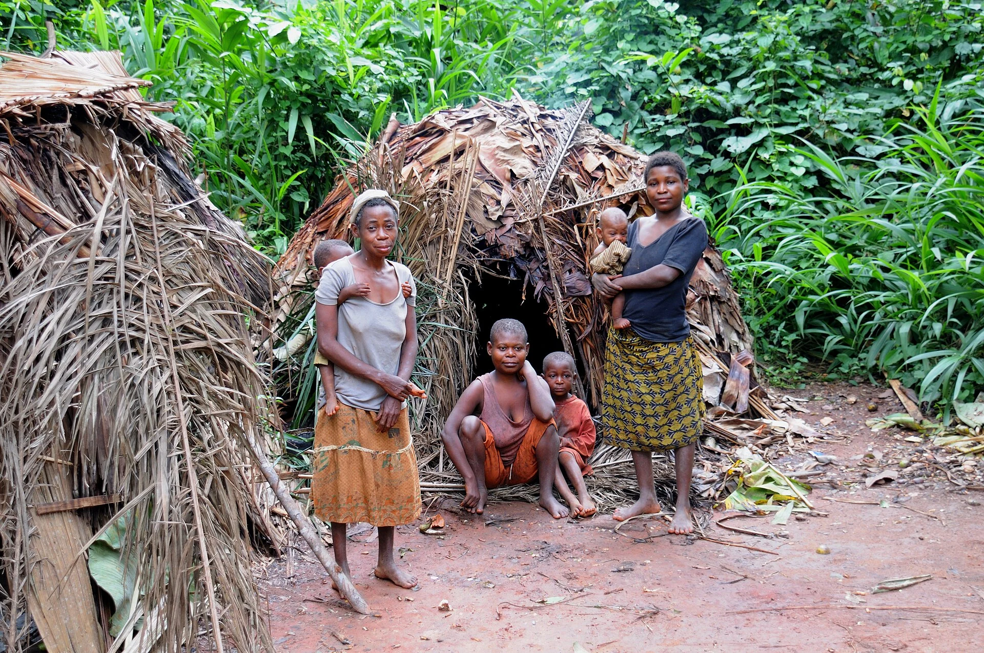 Dzanga-Ndoki National Park