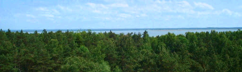 Łebsko Lake