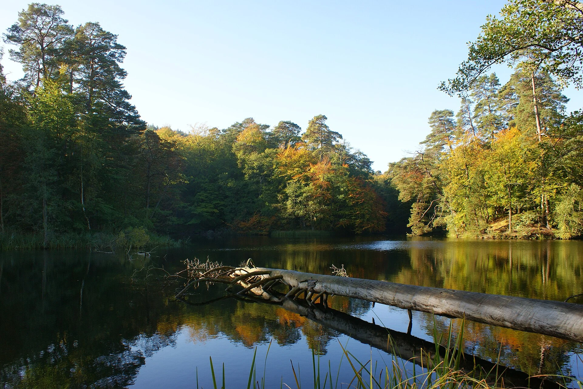 Gardno Lake