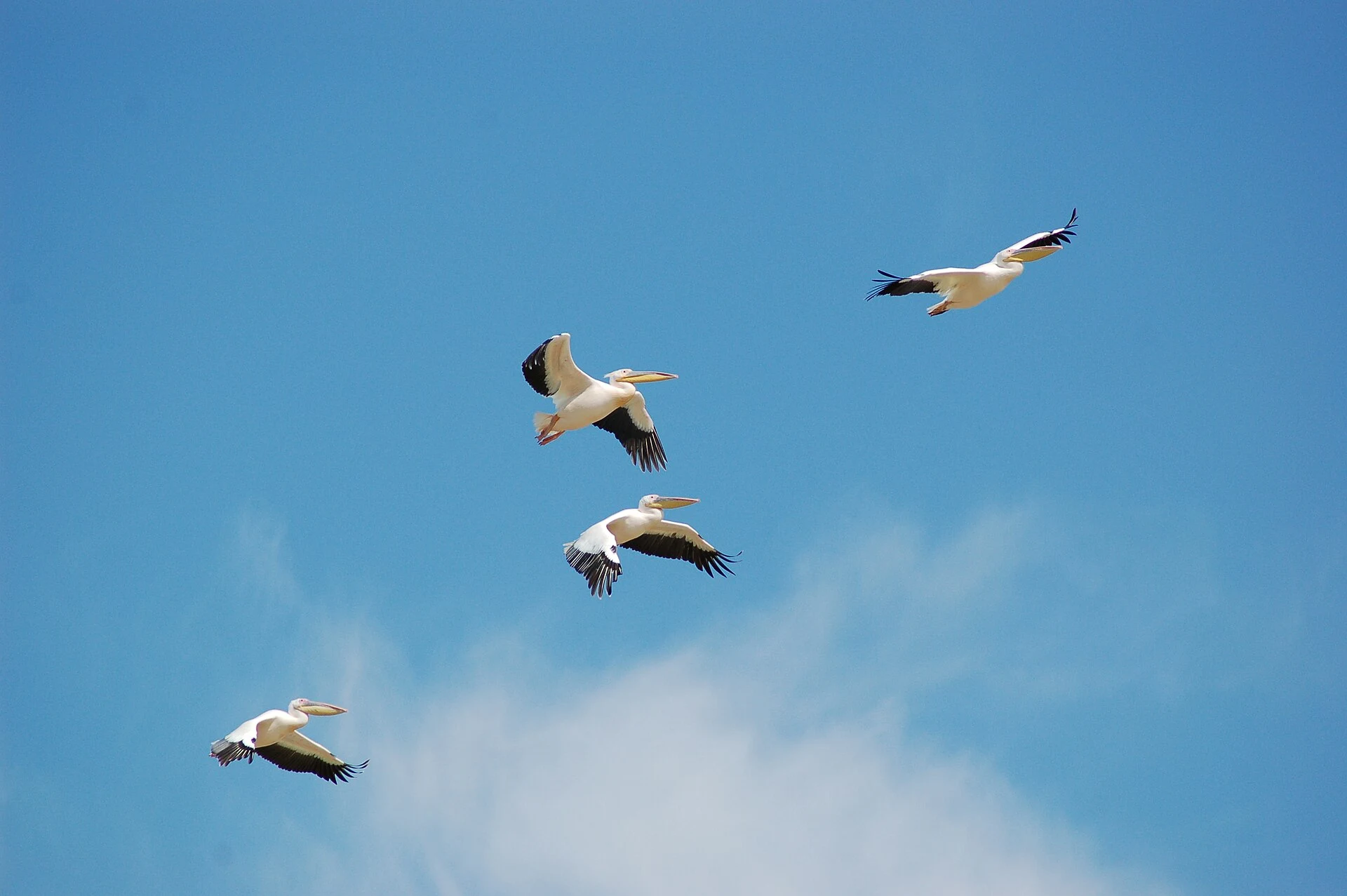 Nata Bird Sanctuary