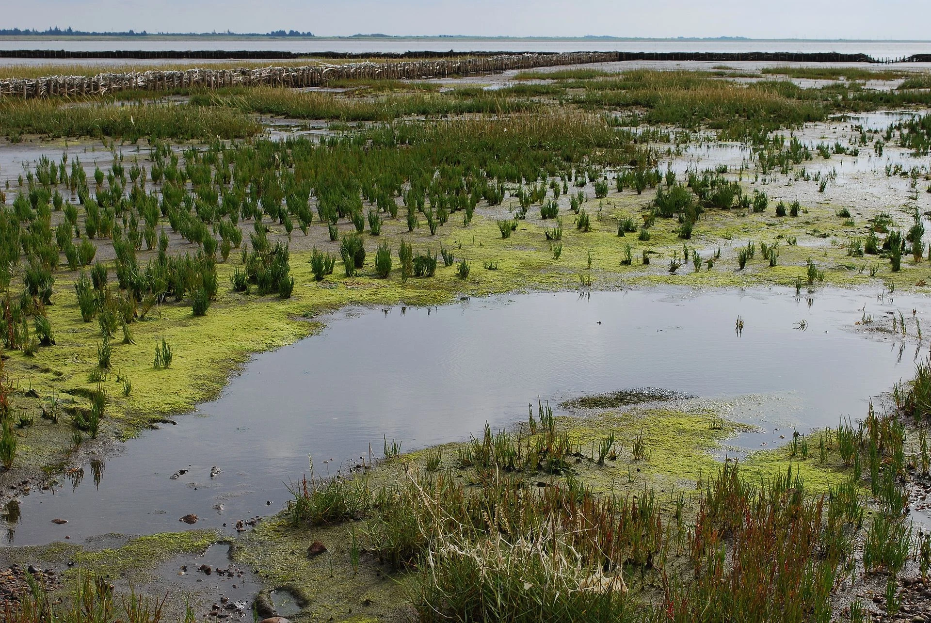 Mandø