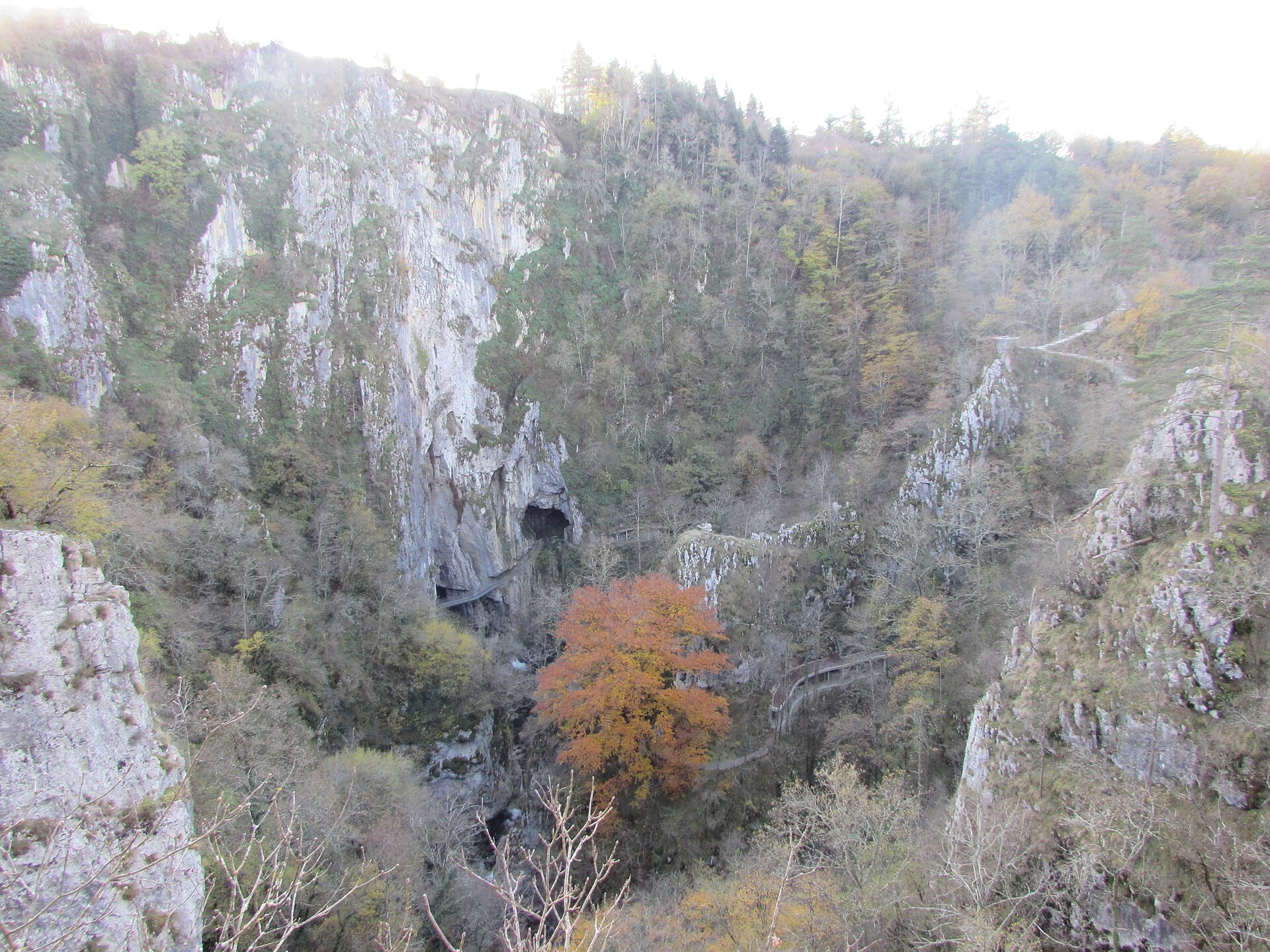 Mala Dolina