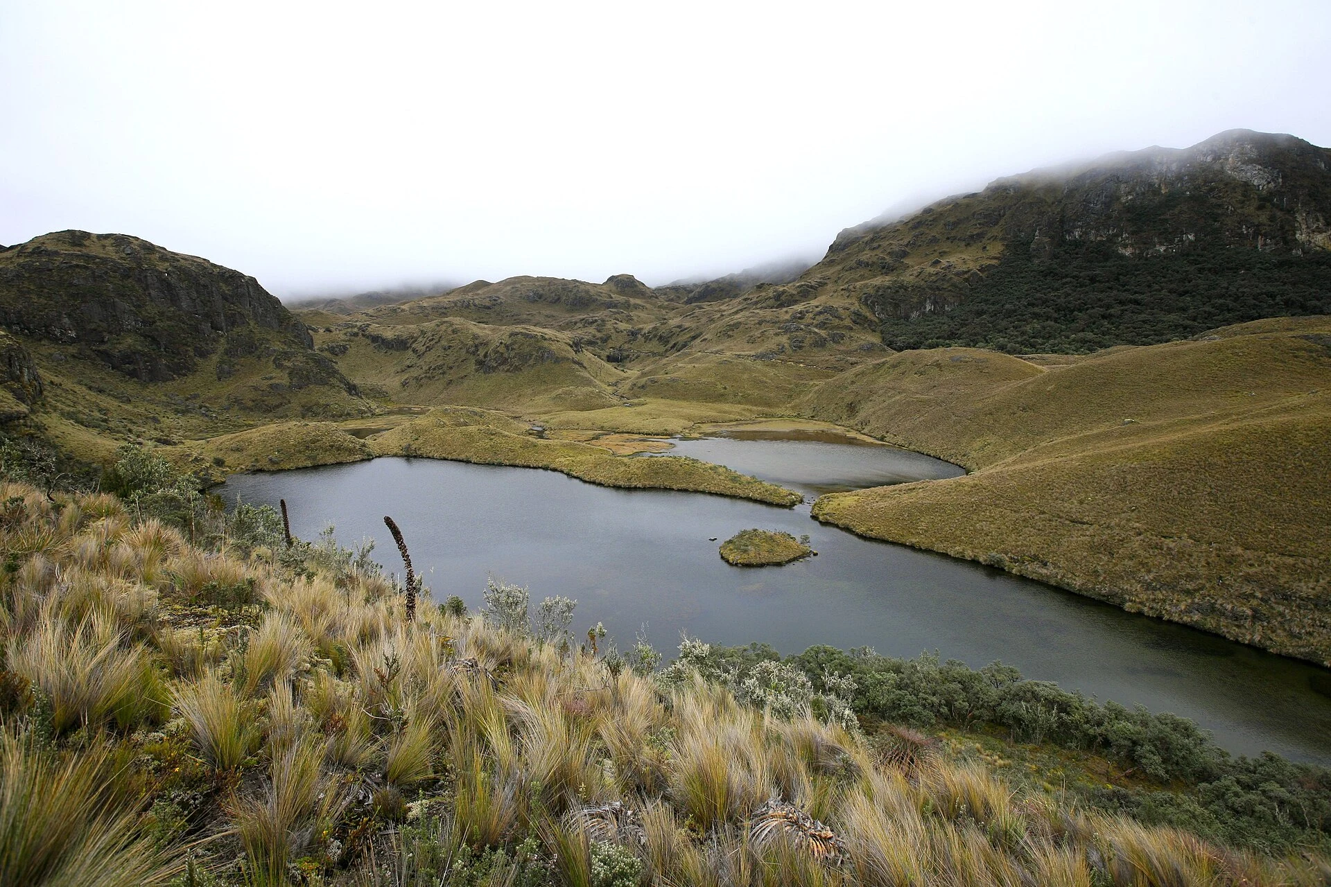 Cajas National Park