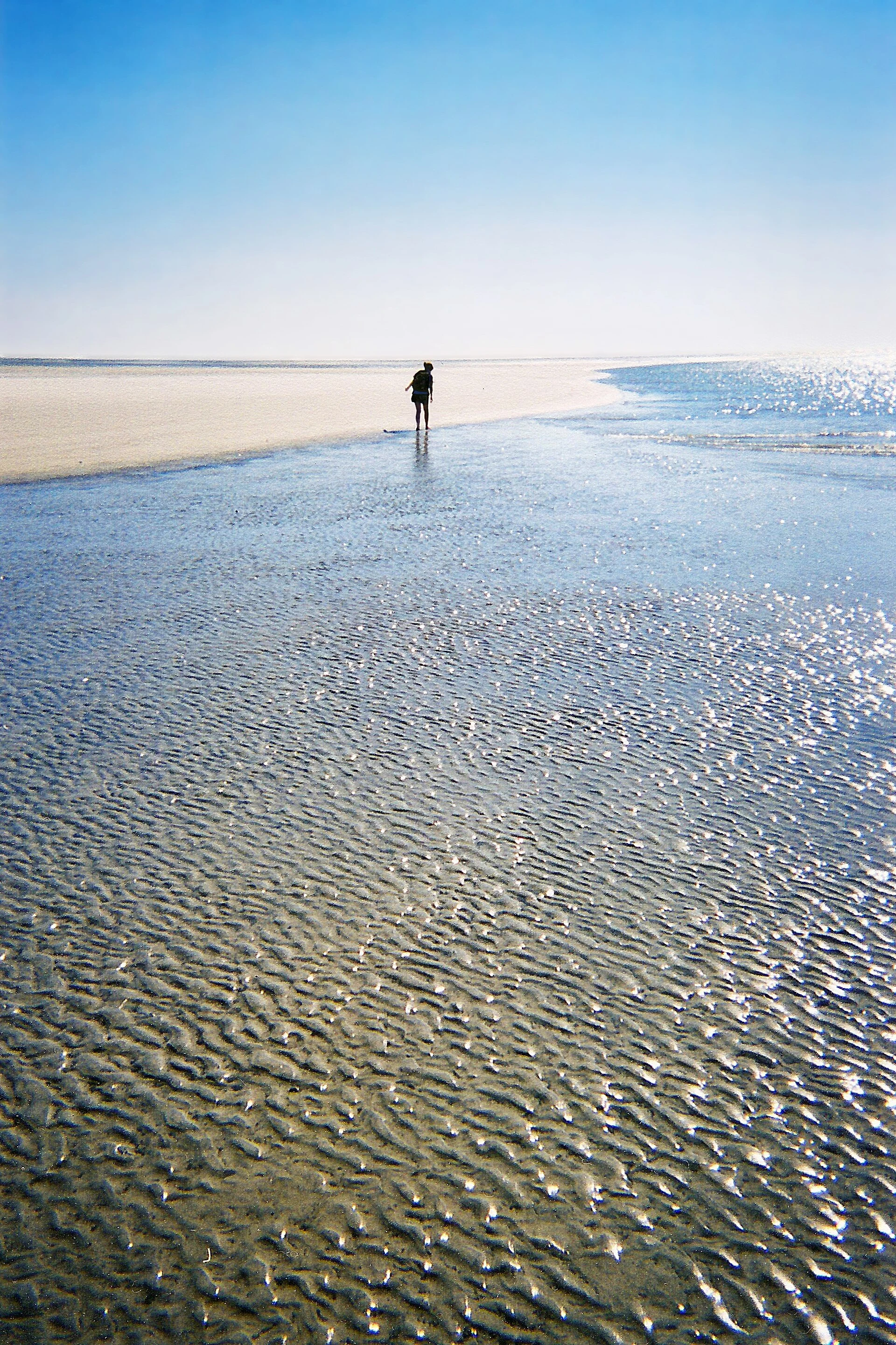Sapelo Island