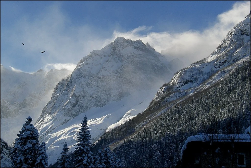 Caucasus